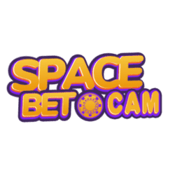 how to do sudoku puzzles
